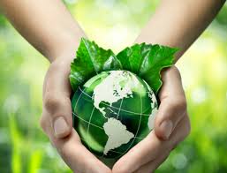 medio ambiente