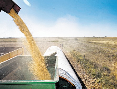 exportaciones soja argentina