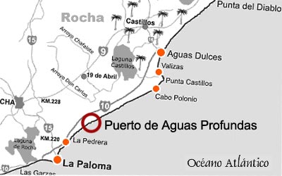 despachos de aduana uruguay