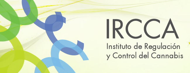 Asumió el nuevo directorio del Instituto de Regulación y Control de Cannabis